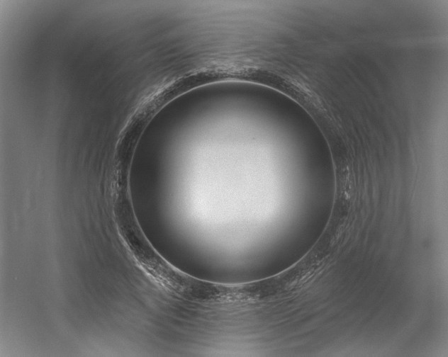 X0000058790736200509301140