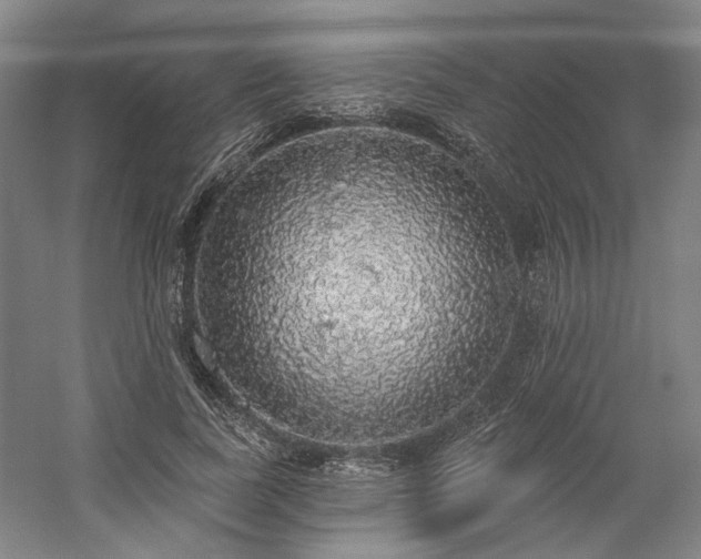 X0000058790739200509301140