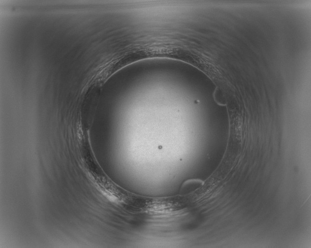 X0000058790746200509301140