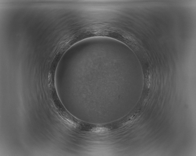 X0000058790748200509301140