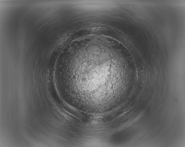 X0000058790750200509301140