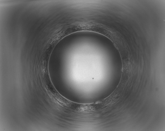 X0000058790752200509301141