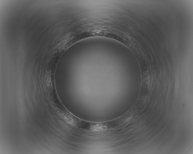 X0000058790754200509301141