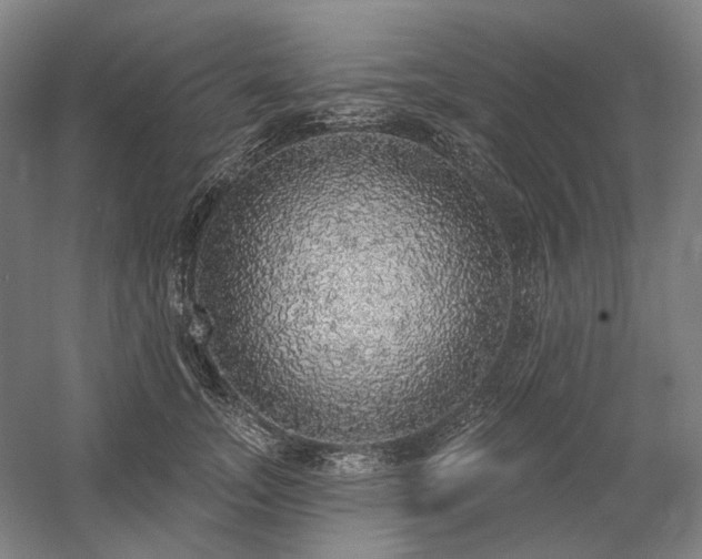 X0000058790755200509301141