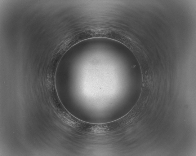 X0000058790756200509301141