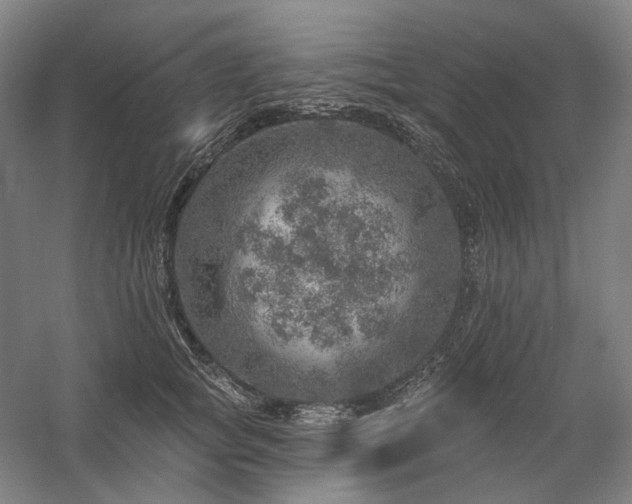 X0000058790757200509301141