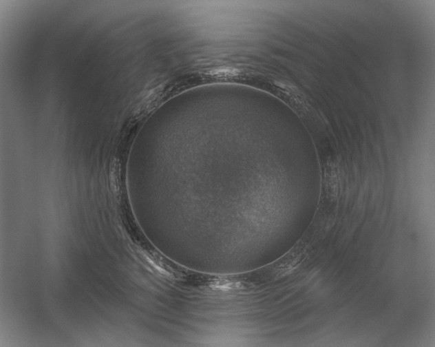 X0000058790760200509301141