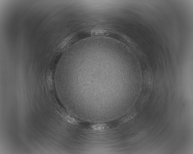 X0000058790761200509301141