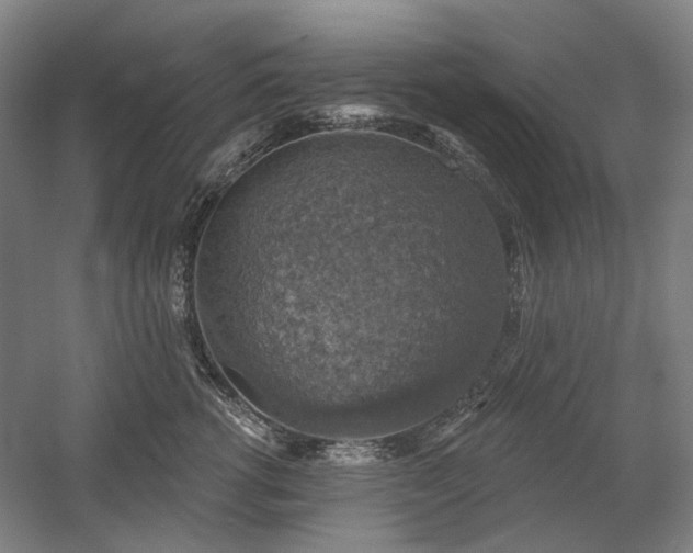 X0000058790762200509301141