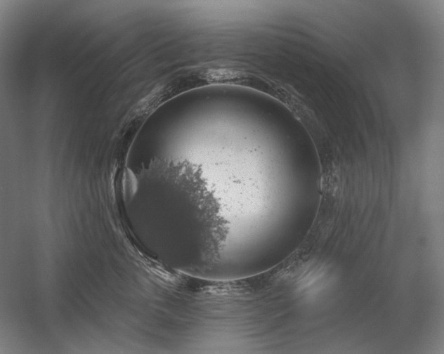 X0000058790763200509301141