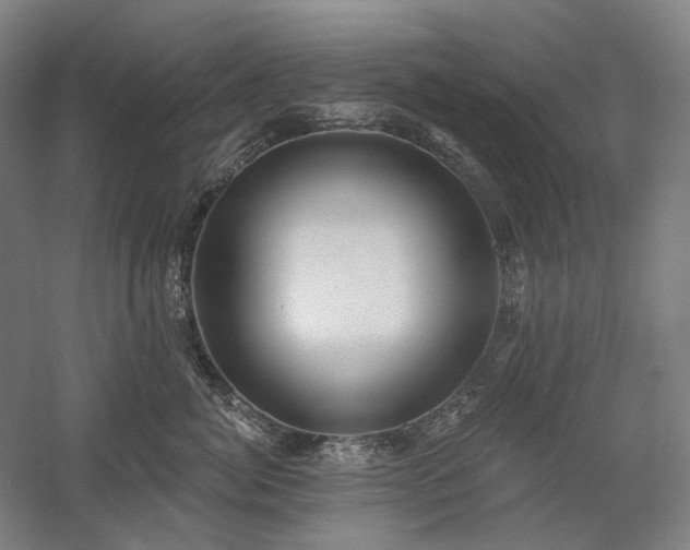 X0000058790764200509301141
