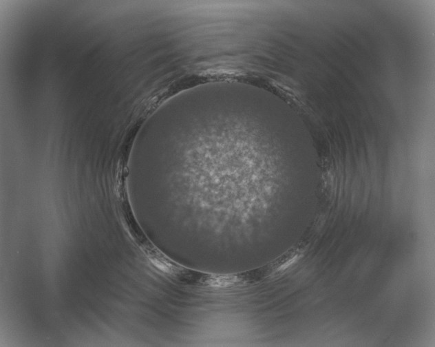 X0000058790767200509301141
