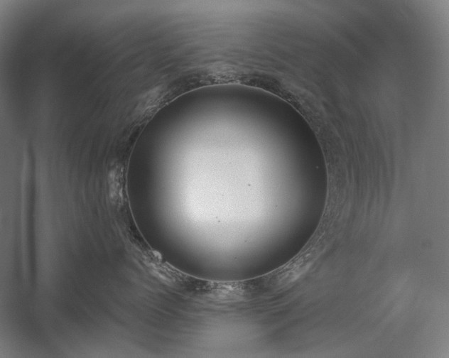 X0000058790768200509301141