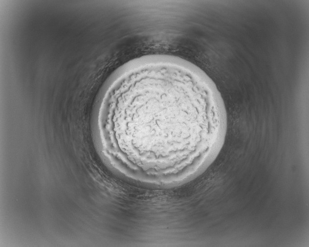 X0000058790769200509301140