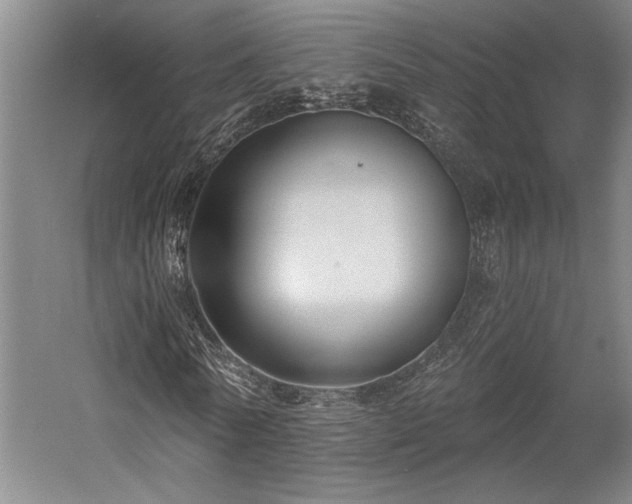 X0000058790770200509301140