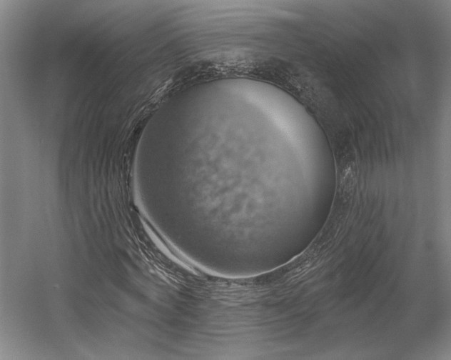 X0000058790772200509301140