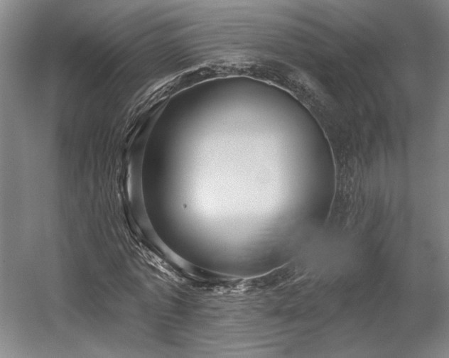 X0000058790773200509301140