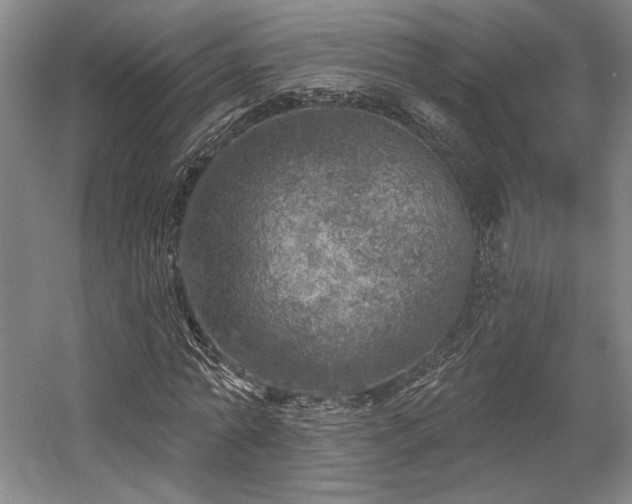 X0000058790774200509301140