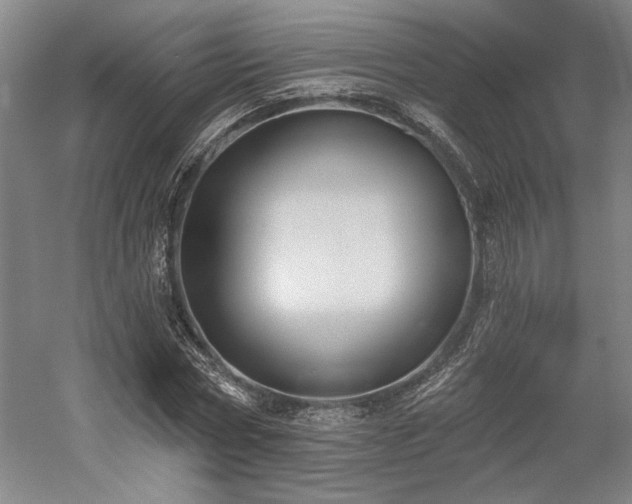 X0000058790778200509301140