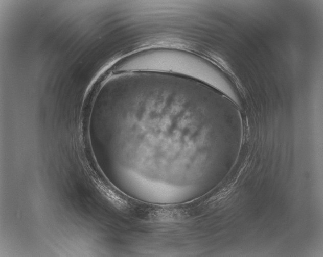 X0000058790780200509301140