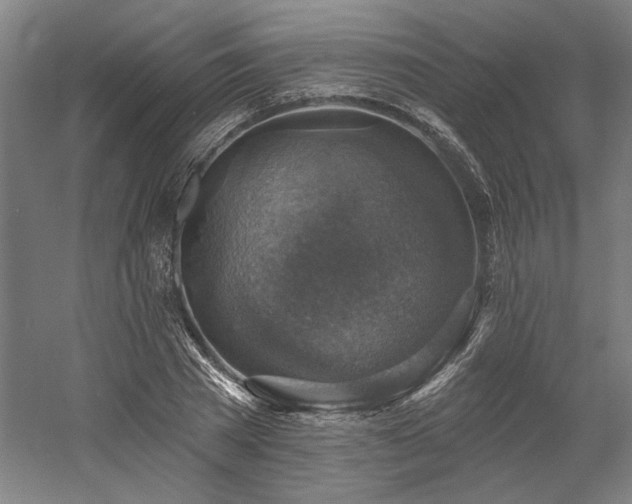 X0000058790785200509301140