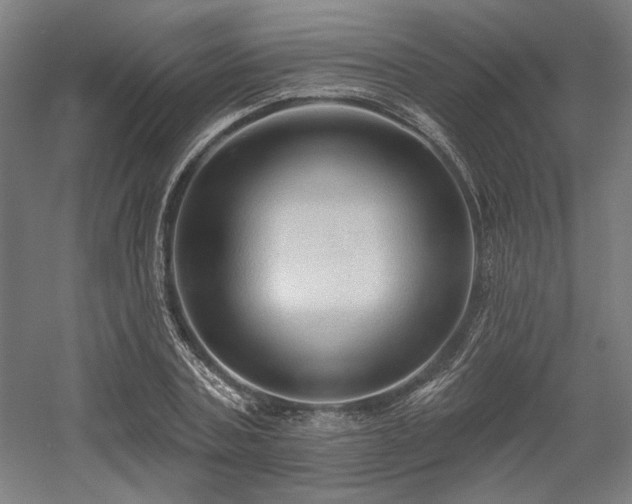 X0000058790787200509301140