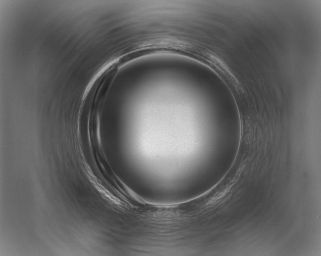 X0000058790788200509301140