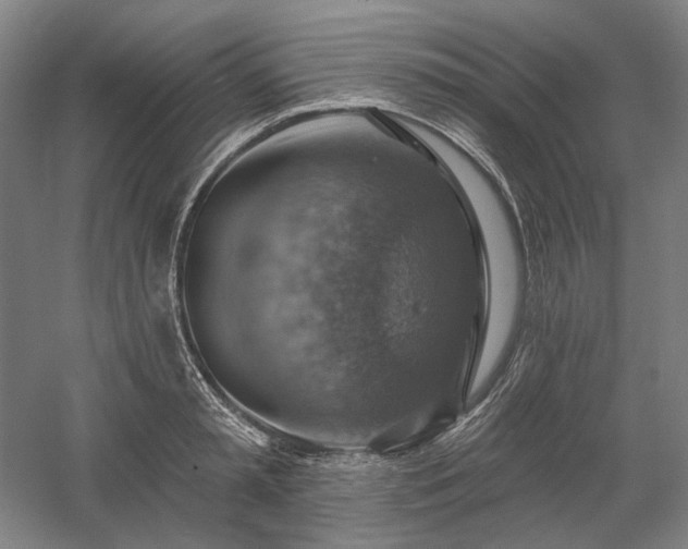 X0000058790797200509301139
