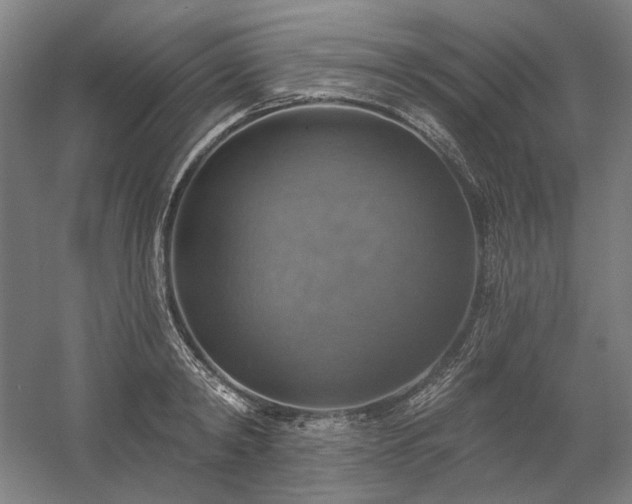 X0000058790798200509301139