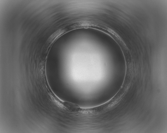 X0000058790801200509301139