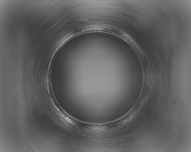 X0000058790802200509301139