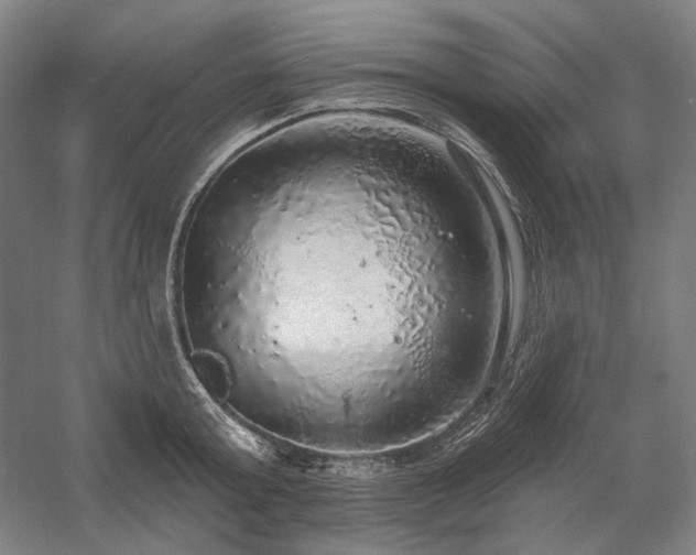 X0000058790803200509301139
