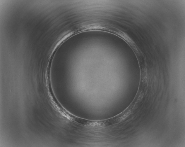 X0000058790806200509301139