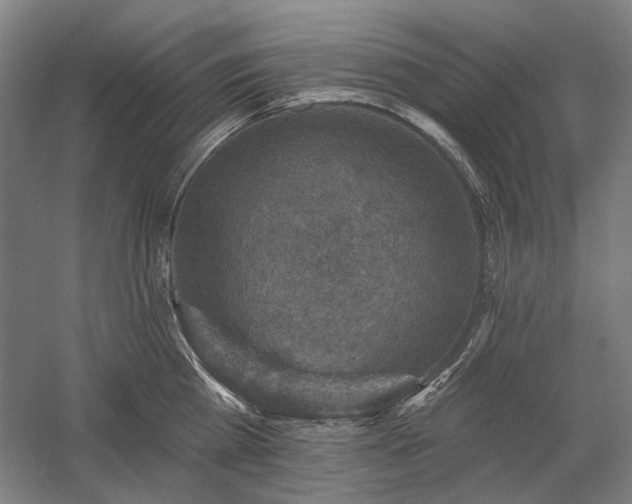 X0000058790809200509301139