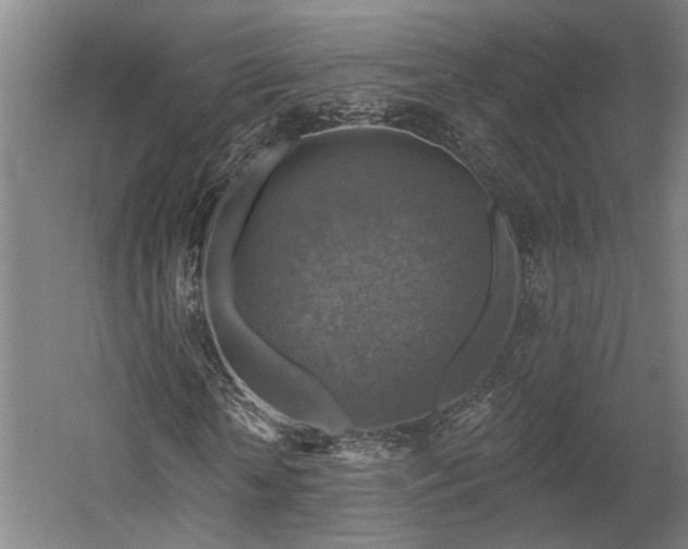 X0000058790818200509301138