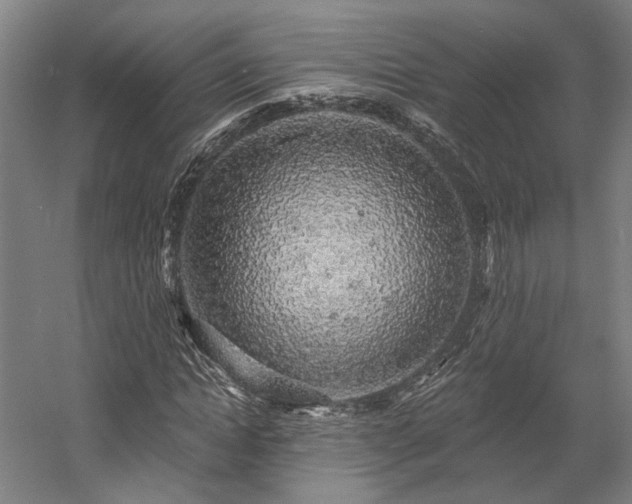 X0000058790822200509301138