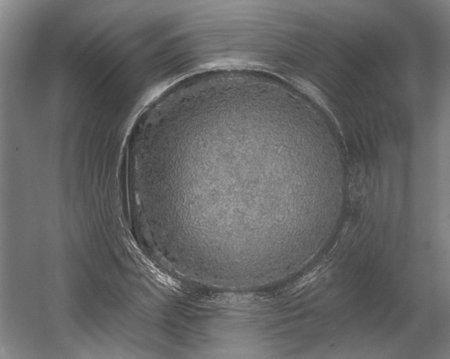 X0000058790831200509301139