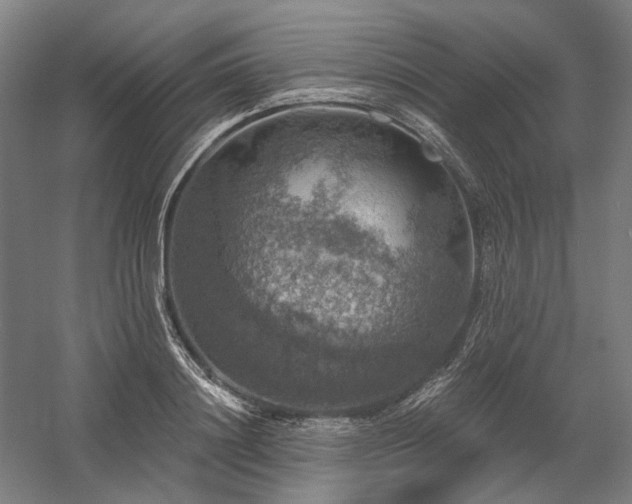 X0000058790844200509301139