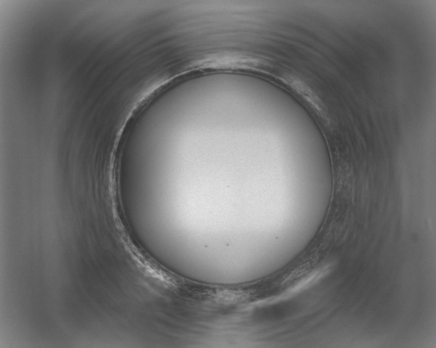 X0000058790848200509301139