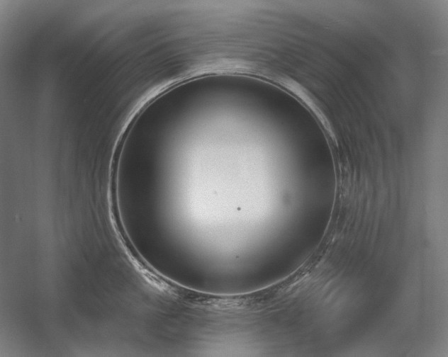 X0000058790861200509301139