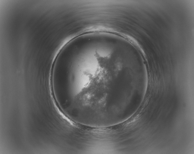 X0000058790863200509301139