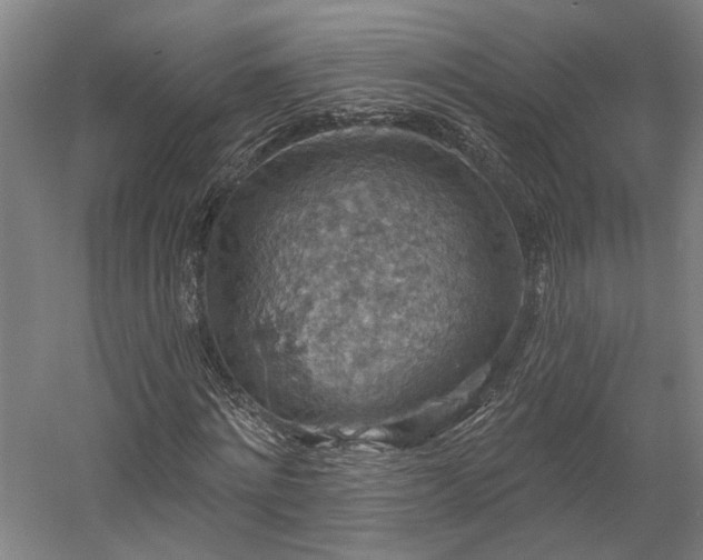 X0000058790868200509301138