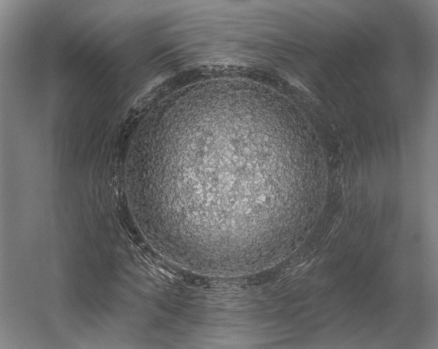X0000058790870200509301138