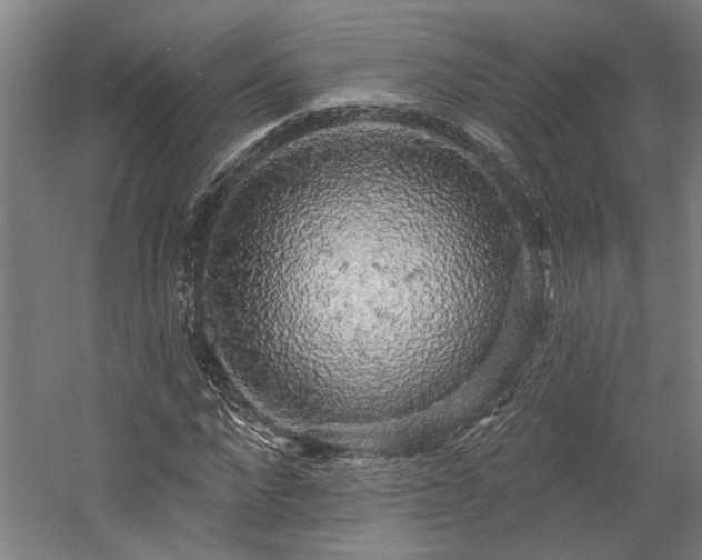 X0000058790872200509301138