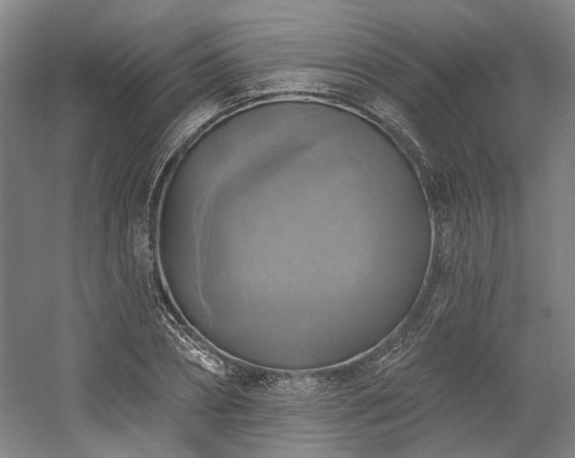 X0000058790882200509301138