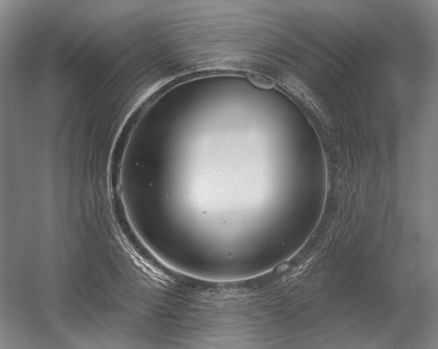 X0000058790884200509301138