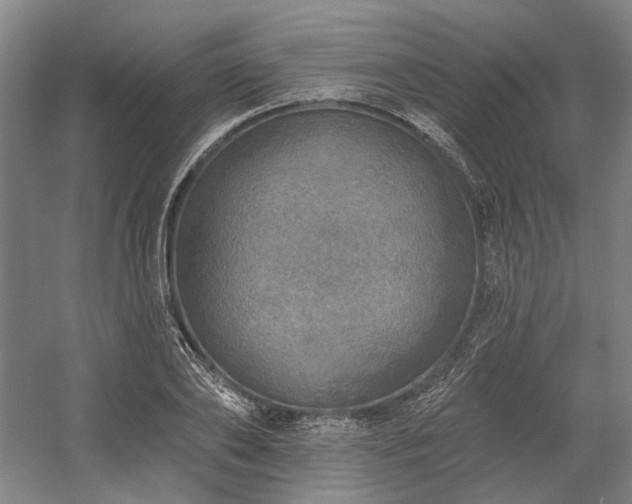 X0000058790886200509301138