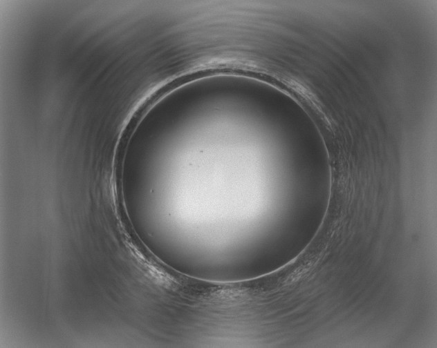 X0000058790888200509301138