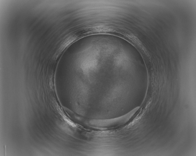 X0000058790889200509301138