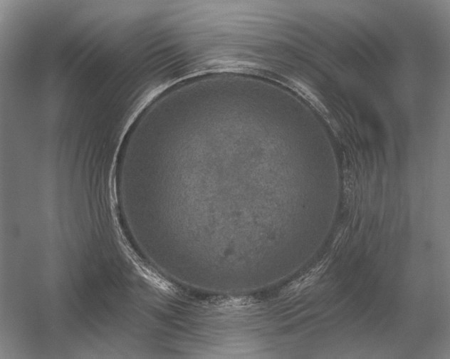 X0000058790891200509301138